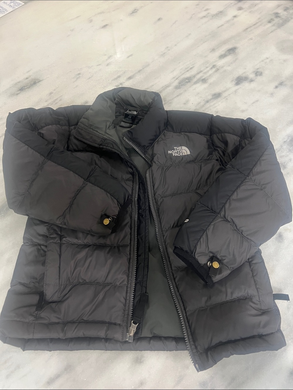The North Face Black Goosedown 550 coat
